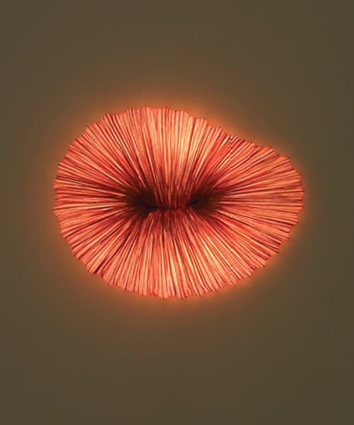 Настенно-потолочный светильник Aqua Creations CORAL