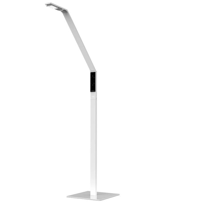 Напольная лампа LUCTRA FLOOR LINEAR