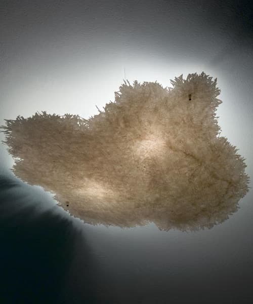 Потолочный светильник Catellani&Smith Postkrisi 0070 S Catellani&Smith