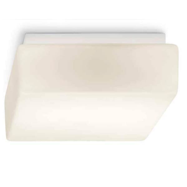 Настенно-потолочный светильник Esedra Professional Esedra