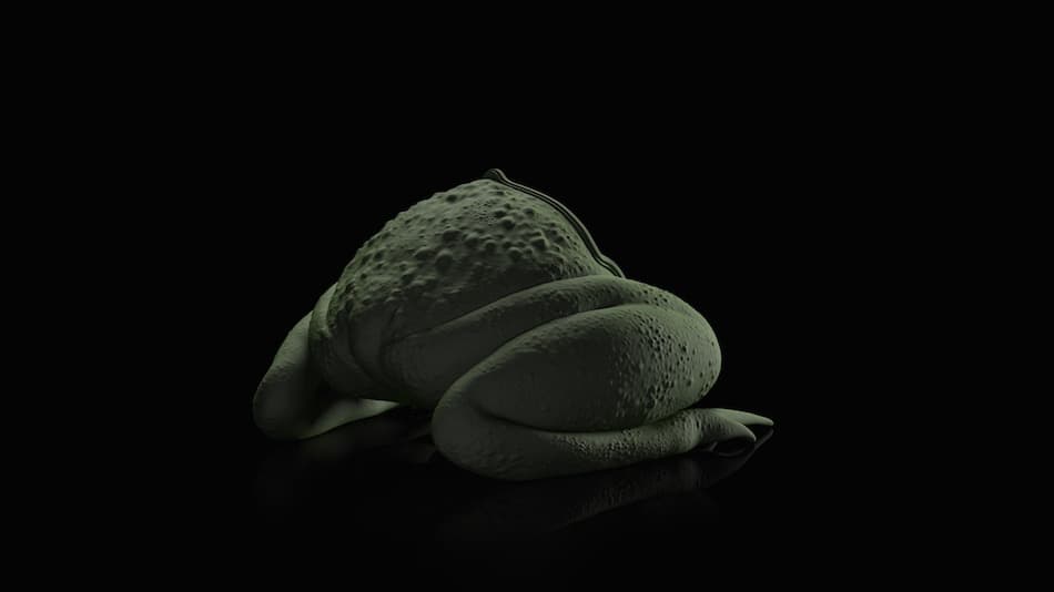 Стул Máximo Riera The Toad Sofa