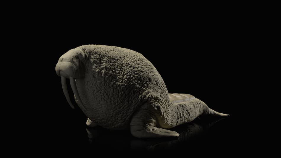 Стул Máximo Riera The Walrus Chair