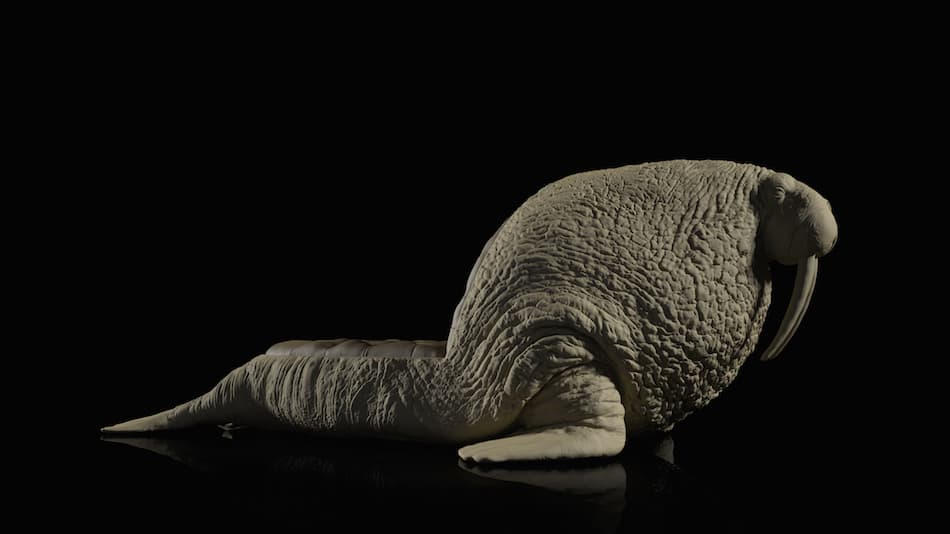 Стул Máximo Riera The Walrus Chair