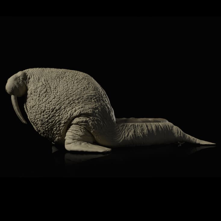 Стул Máximo Riera The Walrus Chair