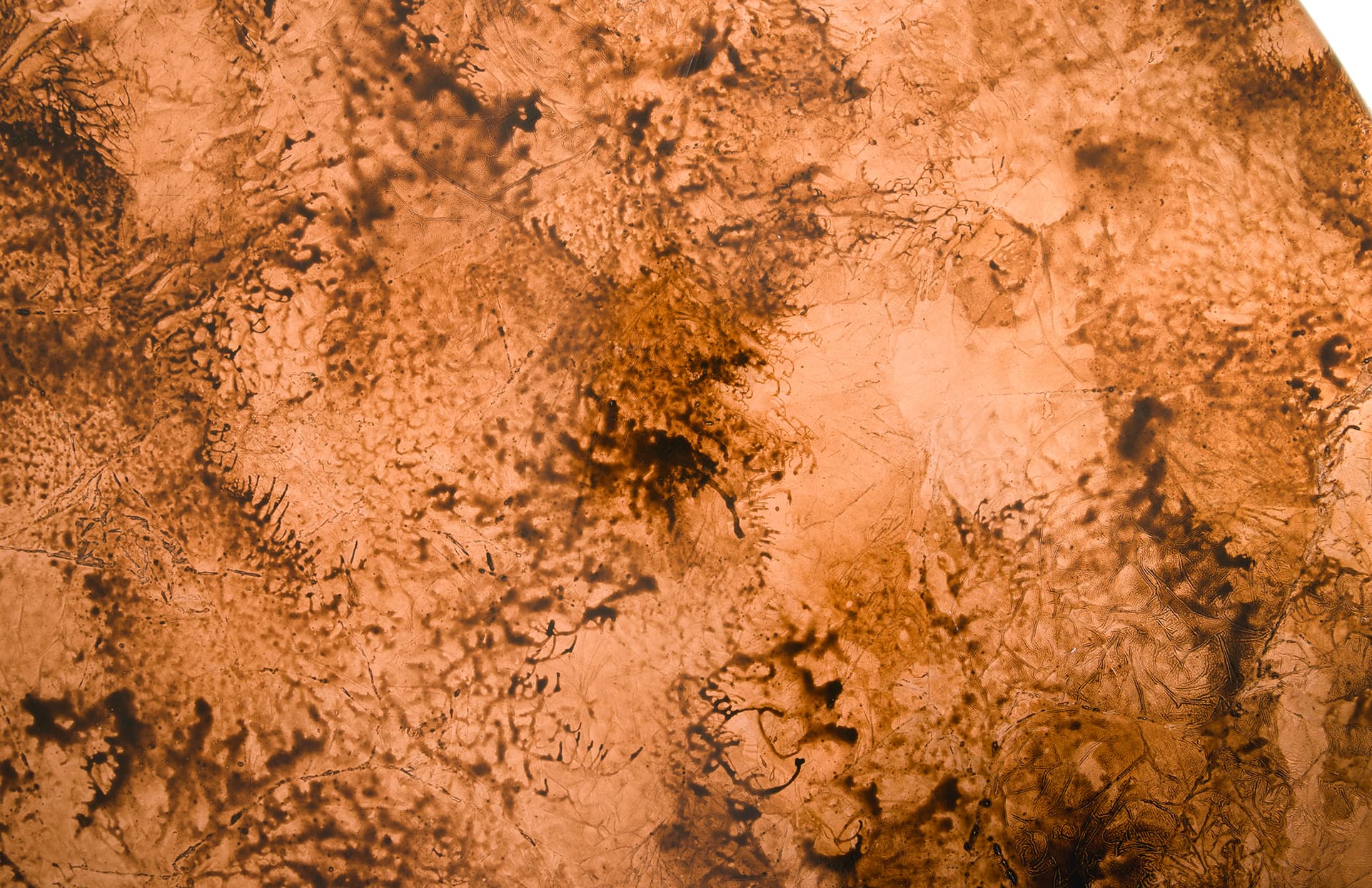 Журнальный столик Phillips Collection Button Coffee Table