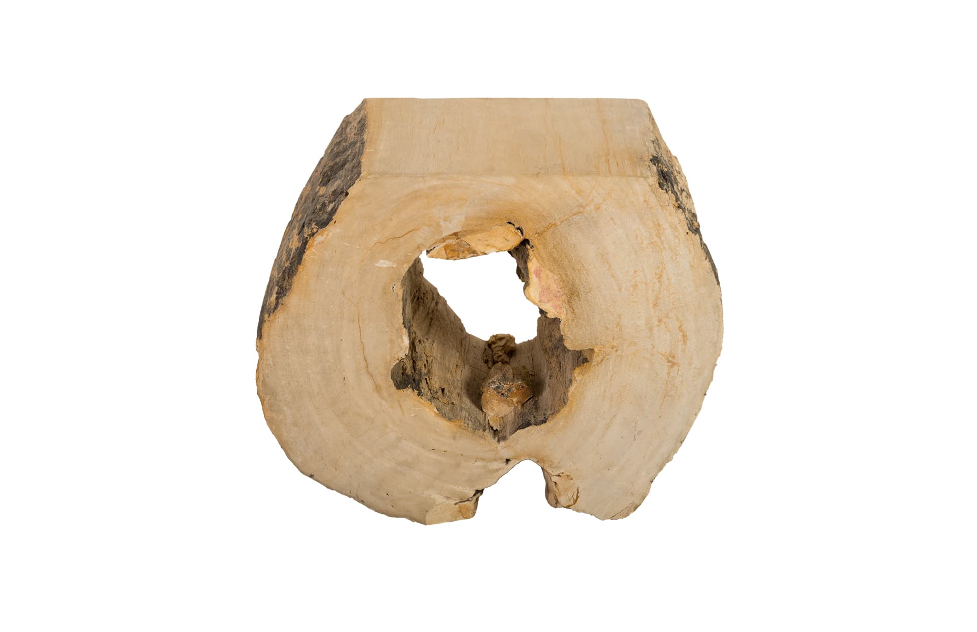 Табурет Phillips Collection Petrified Wood Large Stool, Rough Sides, Flat Top