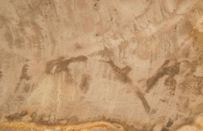 Барный столик Phillips Collection Petrified Wood Beverage Table