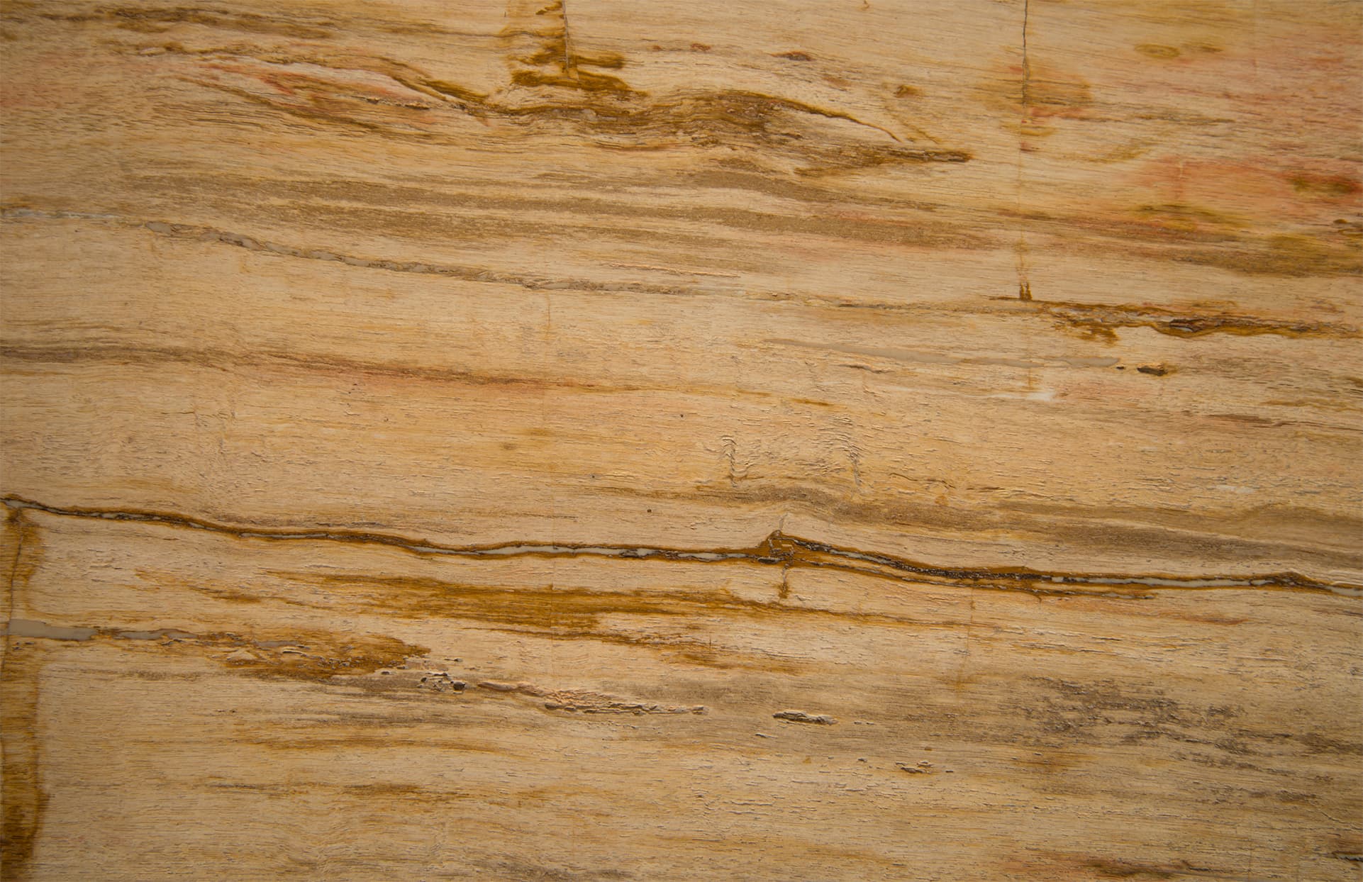 Консоль Phillips Collection Petrified Wood Console