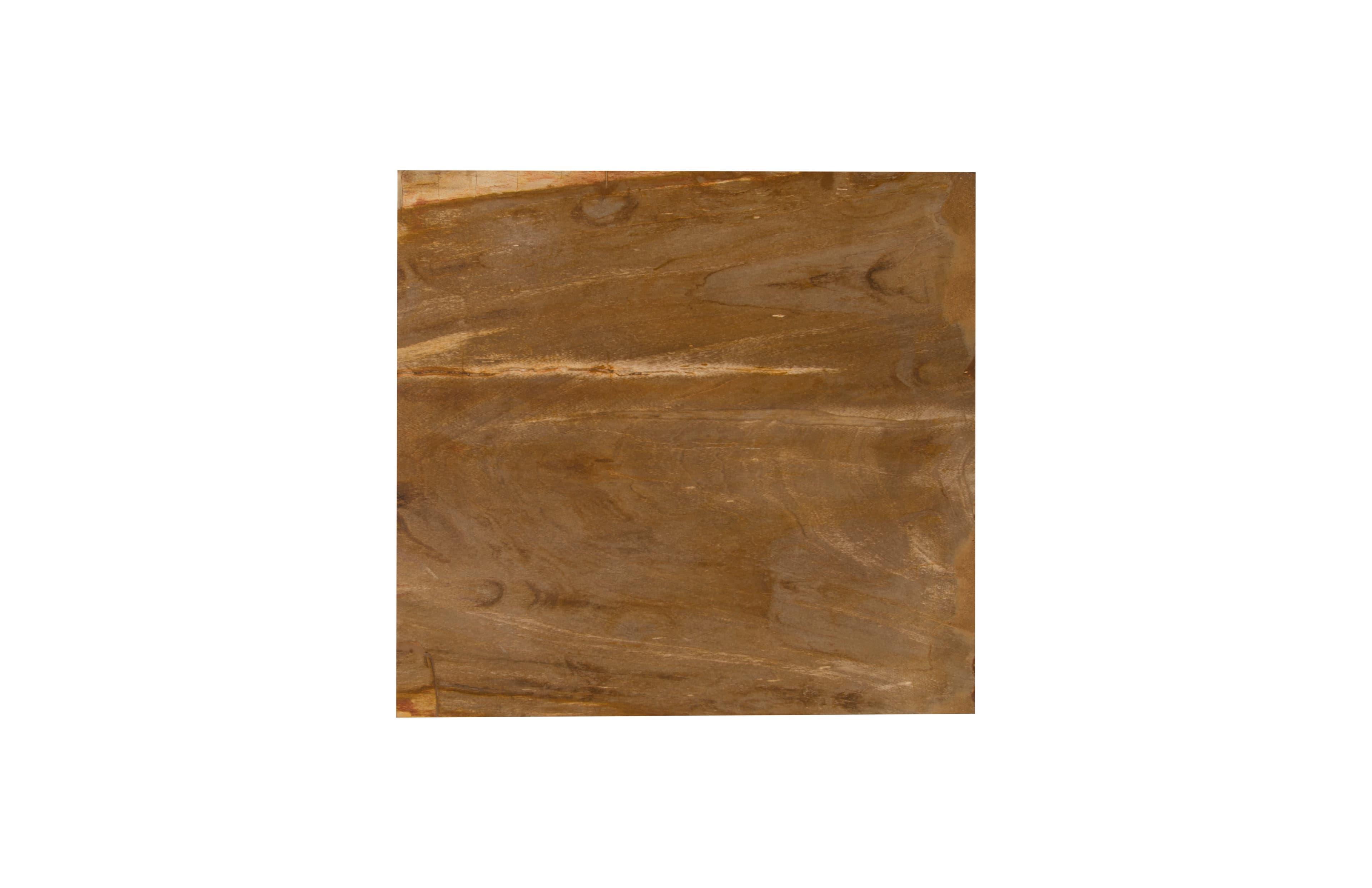 Приставной столик Phillips Collection Petrified Petrified Wood Side Table