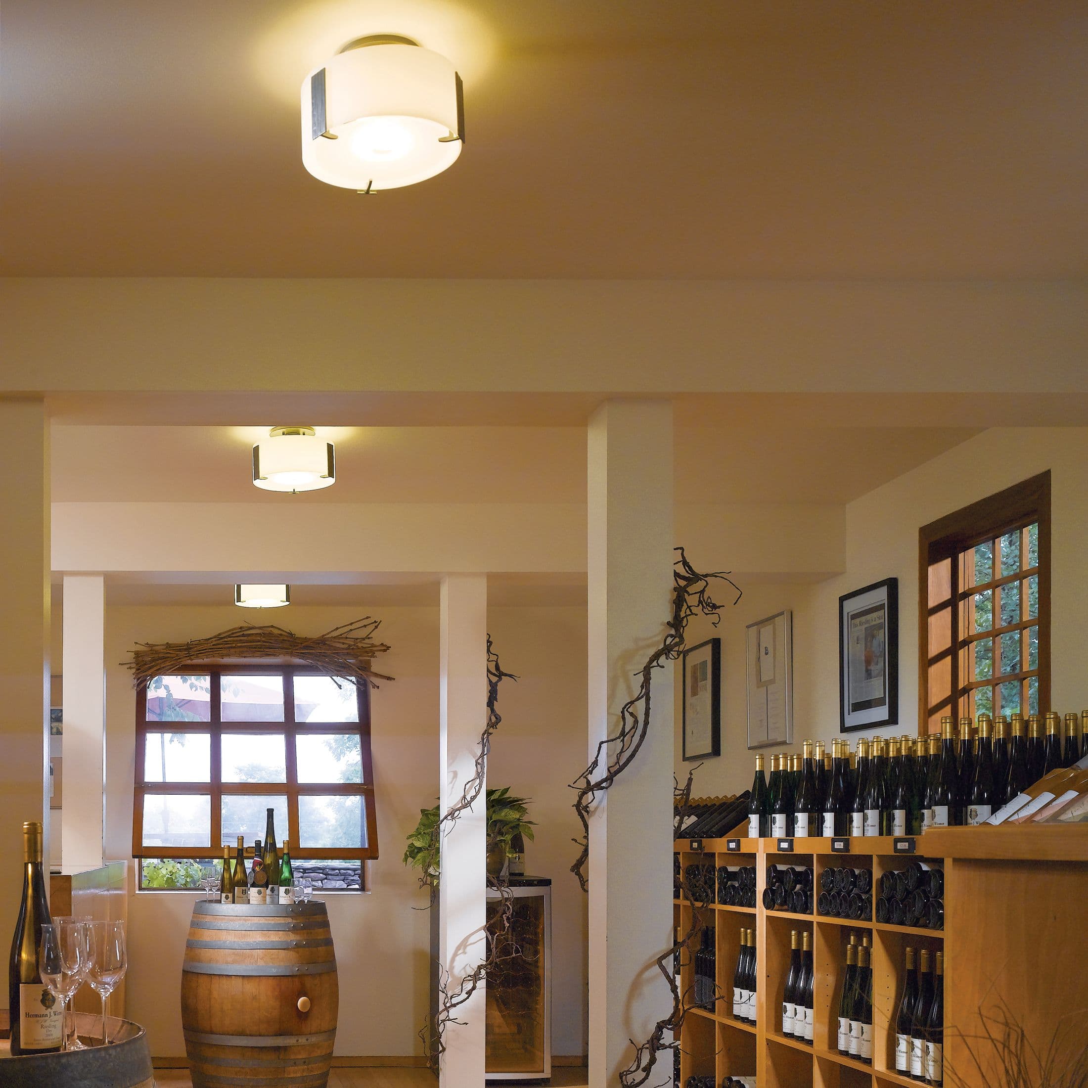 Люстра Hubbardton Forge Axis Semi-Flush Hubbardton Forge