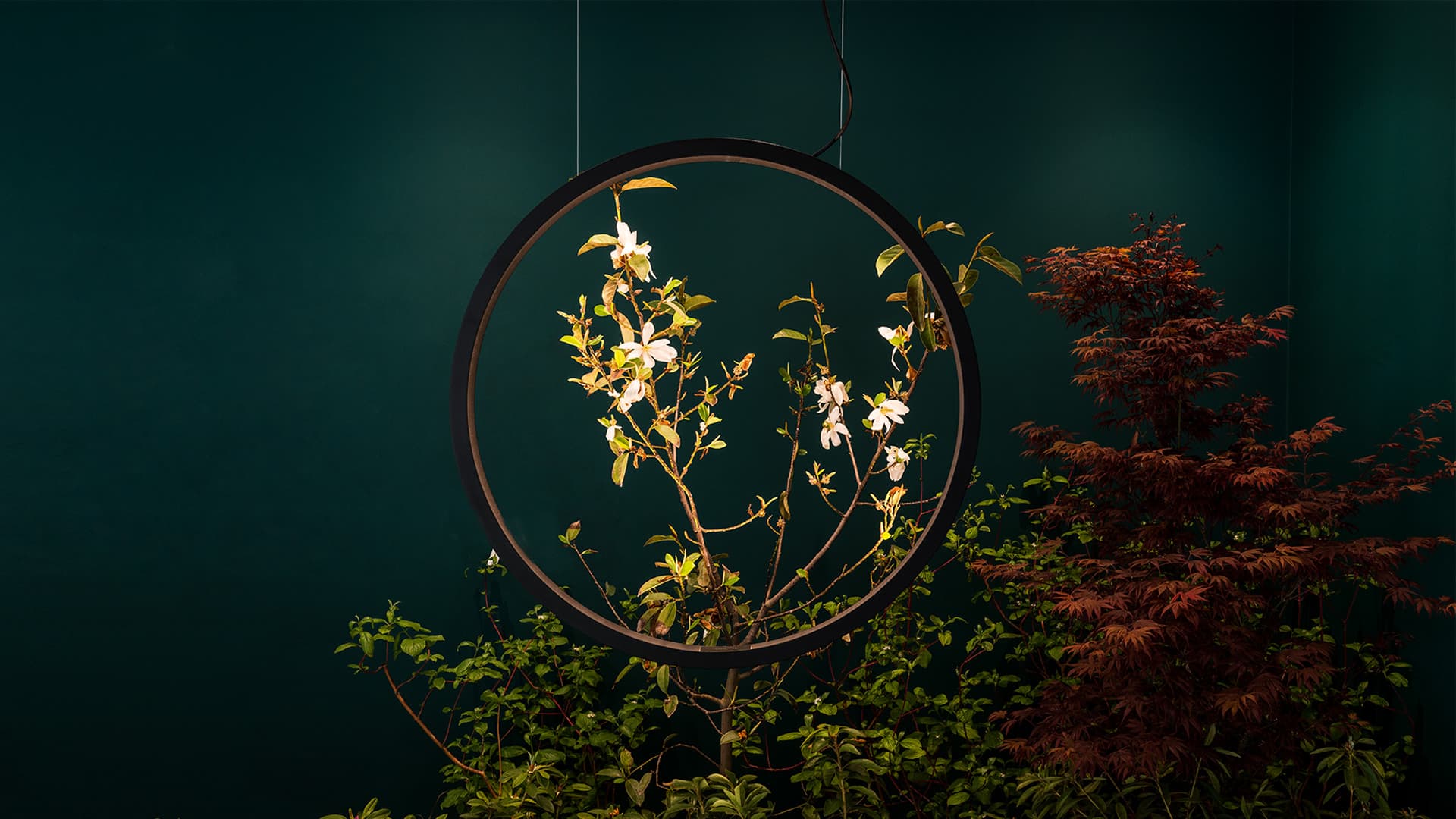 Подвесной светильник Artemide "O" 45 - Suspension Artemide