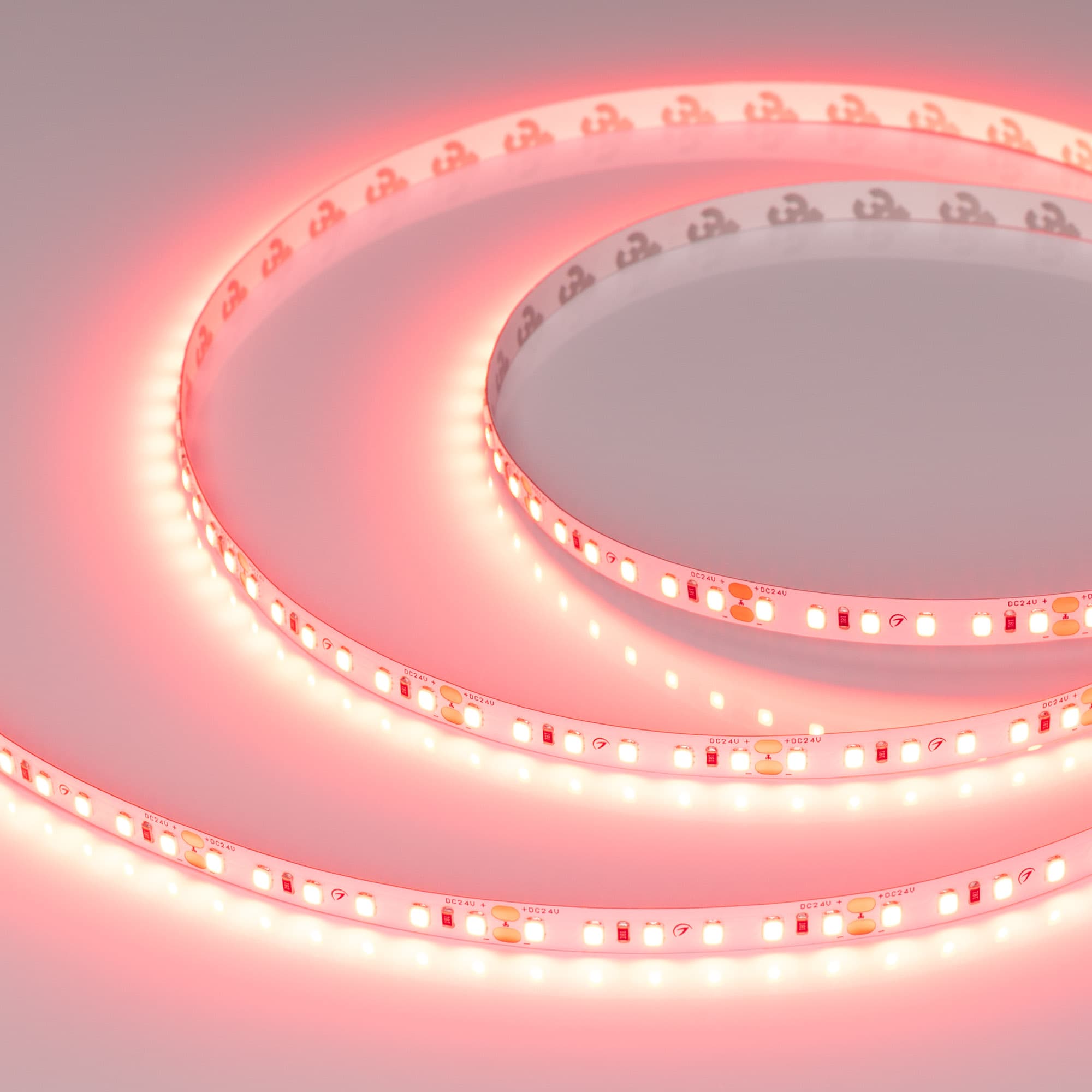 Светодиодная лента RT-A120-8mm 24V Scarlet (9.6 W/m, IP20, 2835, 5m) (Arlight, -) 043383 — фото 1