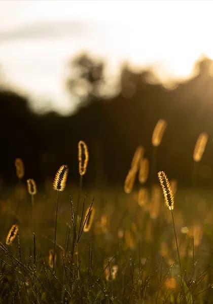 Gessi Via Tortona — фото 38