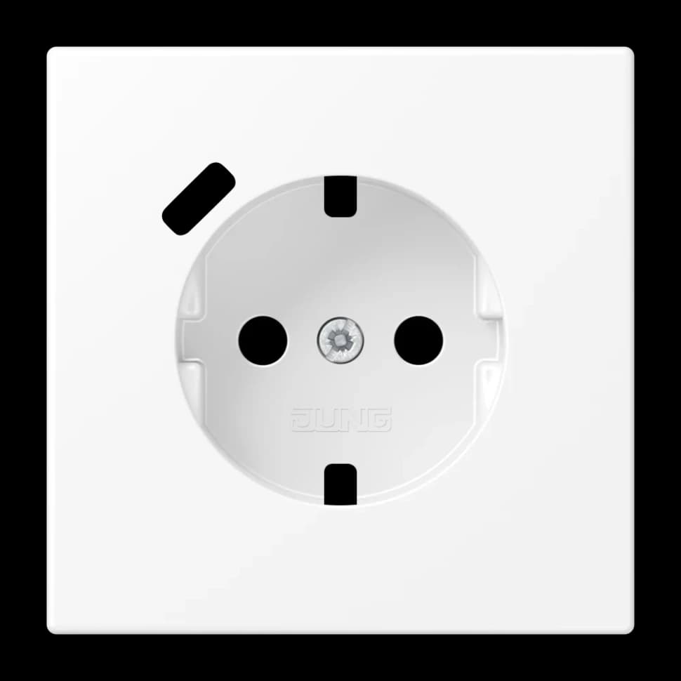 Jung Центральная накладка для SCHUKO USB C, LS1520-18CPLWWM LS1520-18CPLWWM
