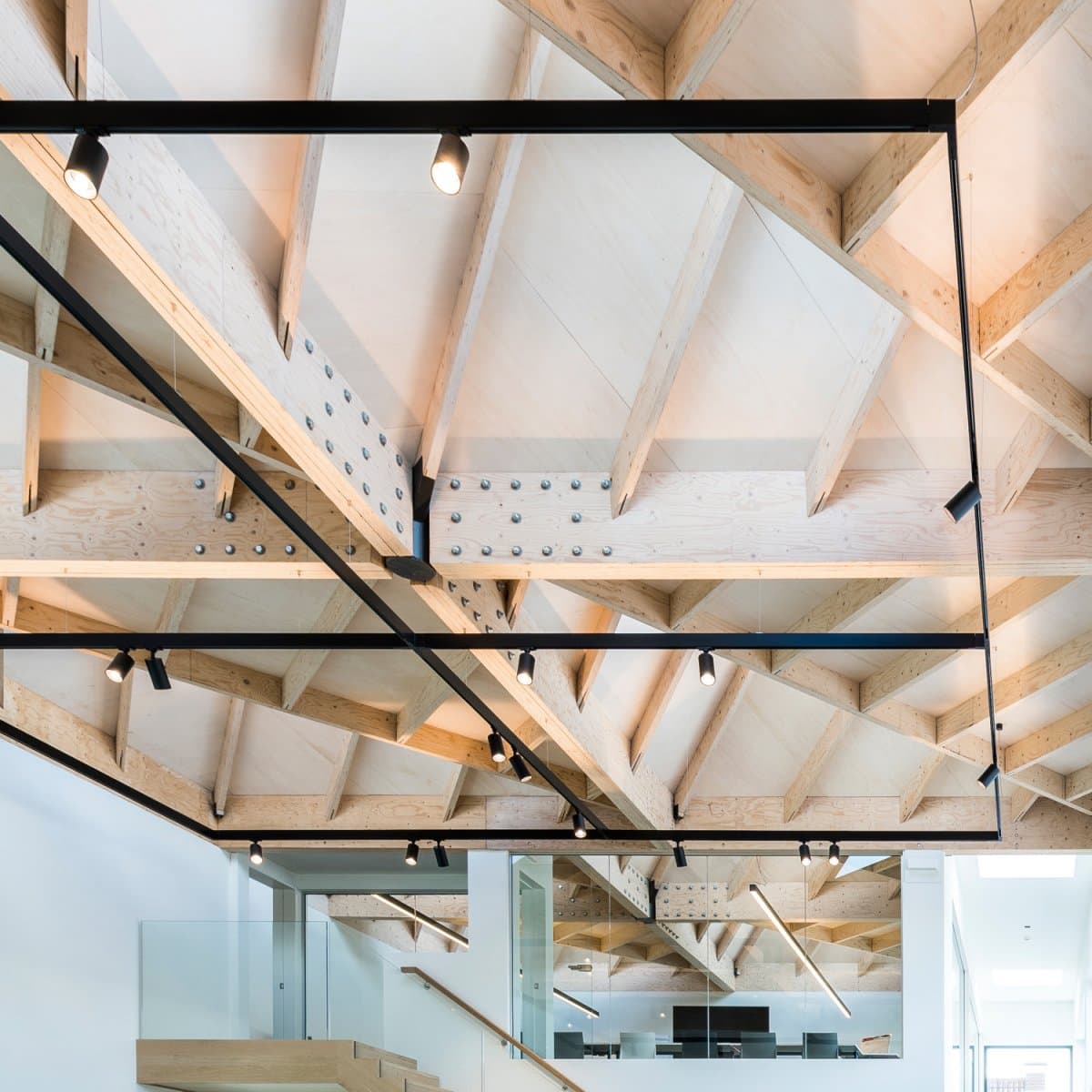 Delta Light TRACK 3F Delta Light — фото 3