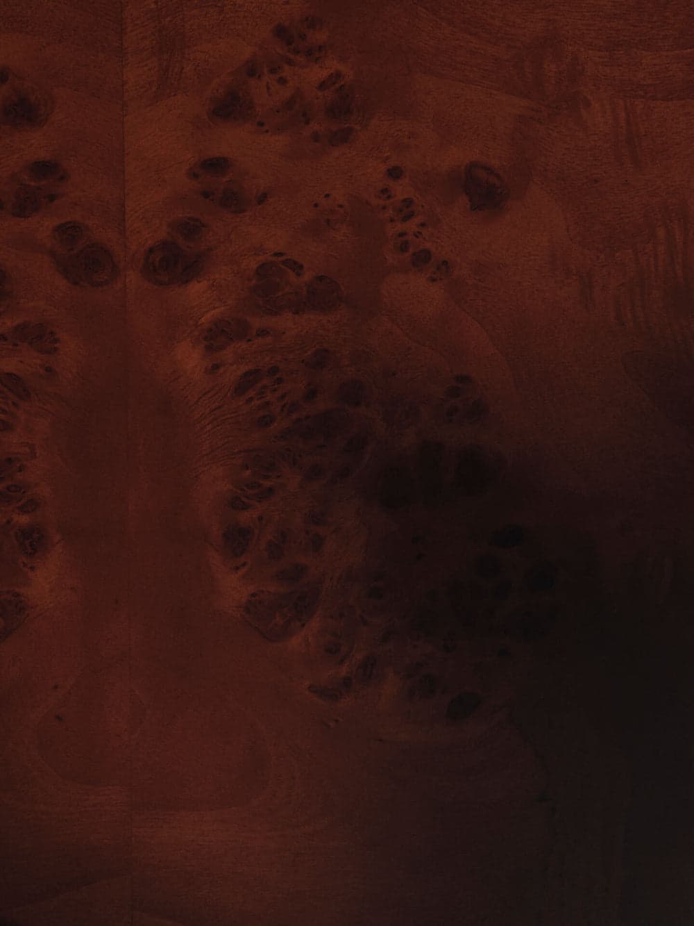 Ferm Living Burl Storage Coffee Table - Dark Stained Burl ferm LIVING — фото 8