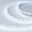 Светодиодная лента RT 2-5000 24V Cool 8K 3x (2835, 840 LED, LUX) (Arlight, 17 Вт/м, IP20) 019092
