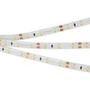 Светодиодная лента RTW 2-5000SE 12V Cool (3528, 300 LED, LUX) (Arlight, 4.8 Вт/м, IP65) 016836(B)