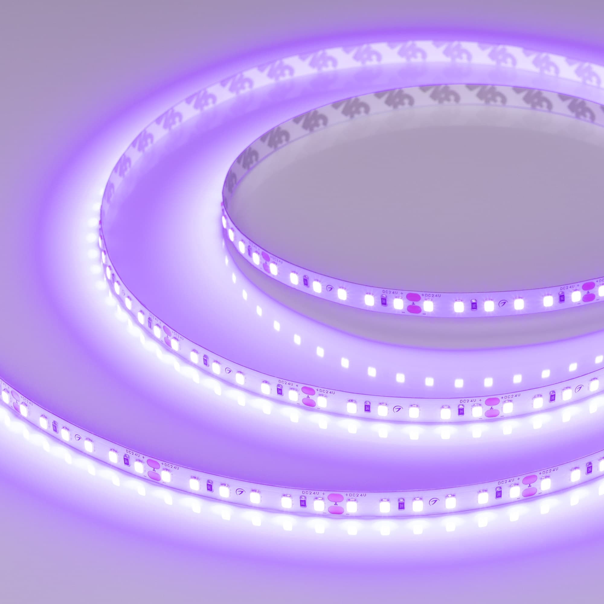 Светодиодная лента RT-A120-8mm 24V Violet (9.6 W/m, IP20, 2835, 5m) (Arlight, -) 043384 — фото 1