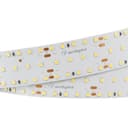 Светодиодная лента S2-2500 24V Warm 2700K 34mm (2835, 280 LED/m, LUX) (Arlight, 25 Вт/м, IP20) 023403