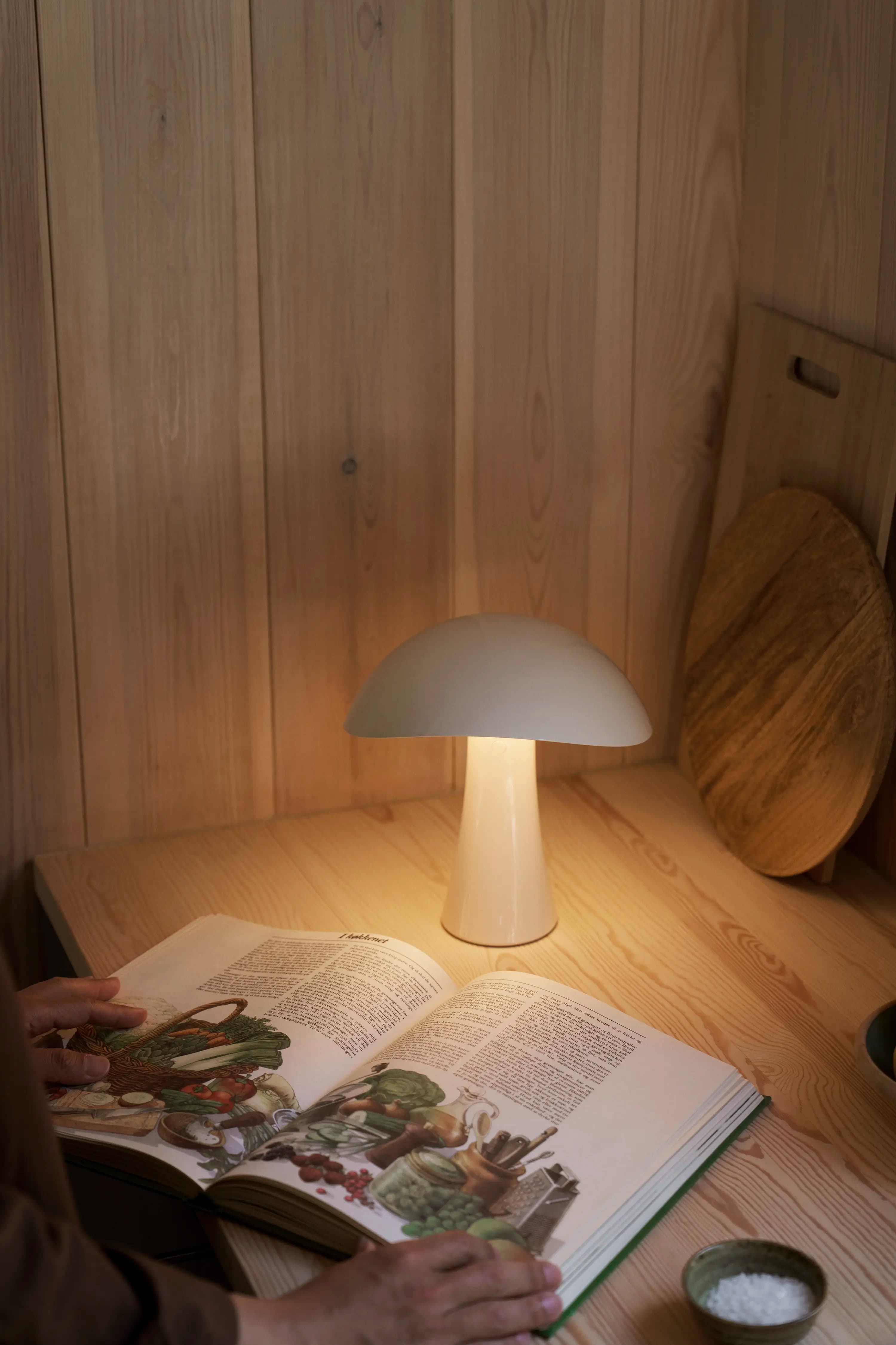 Louis Poulsen Rumee 220 Portable Lamp Cloud white Ø 220 — фото 7