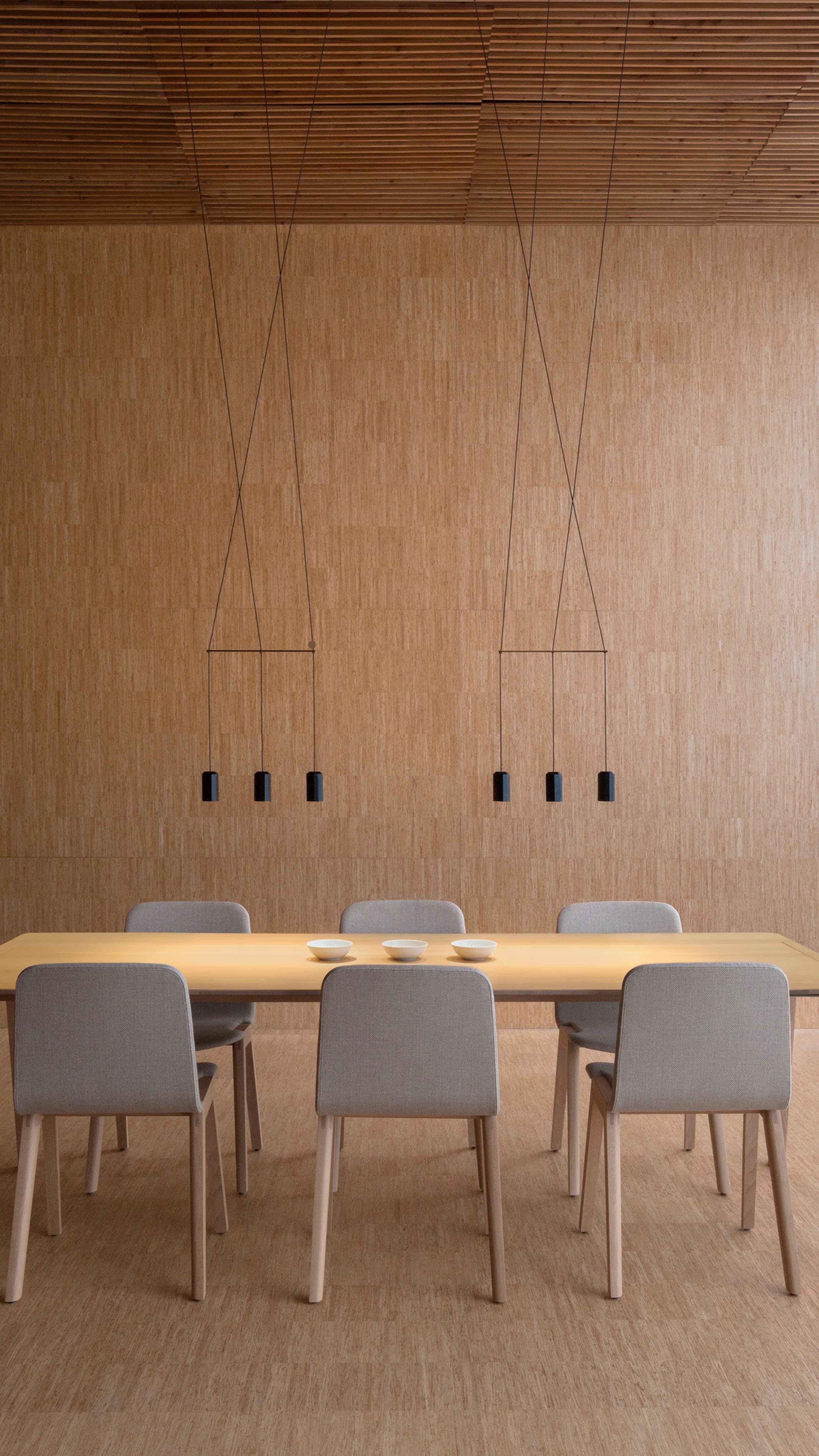 Vibia Wireflow lineal Vibia