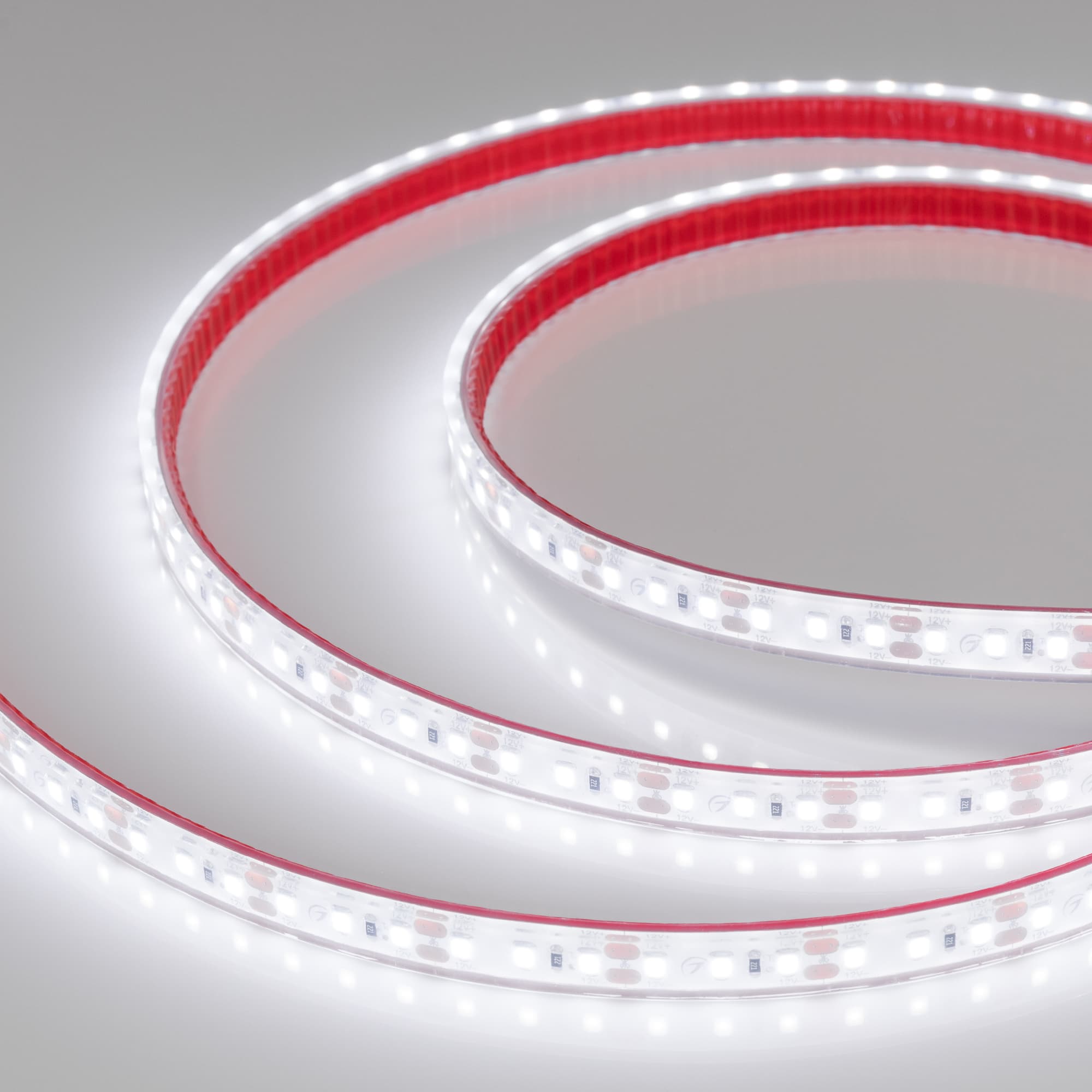 Светодиодная лента герметичная RTW-PFS-A120-11mm 12V Cool 8K (9.6 W/m, IP68, 2835, 5m) (Arlight, 9.6 Вт/м, IP68) 034442 — фото 2