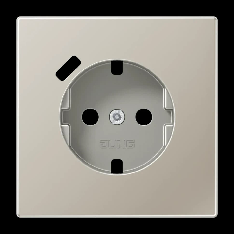 Jung Центральная накладка для SCHUKO USB C, ES1520-18CPL ES1520-18CPL