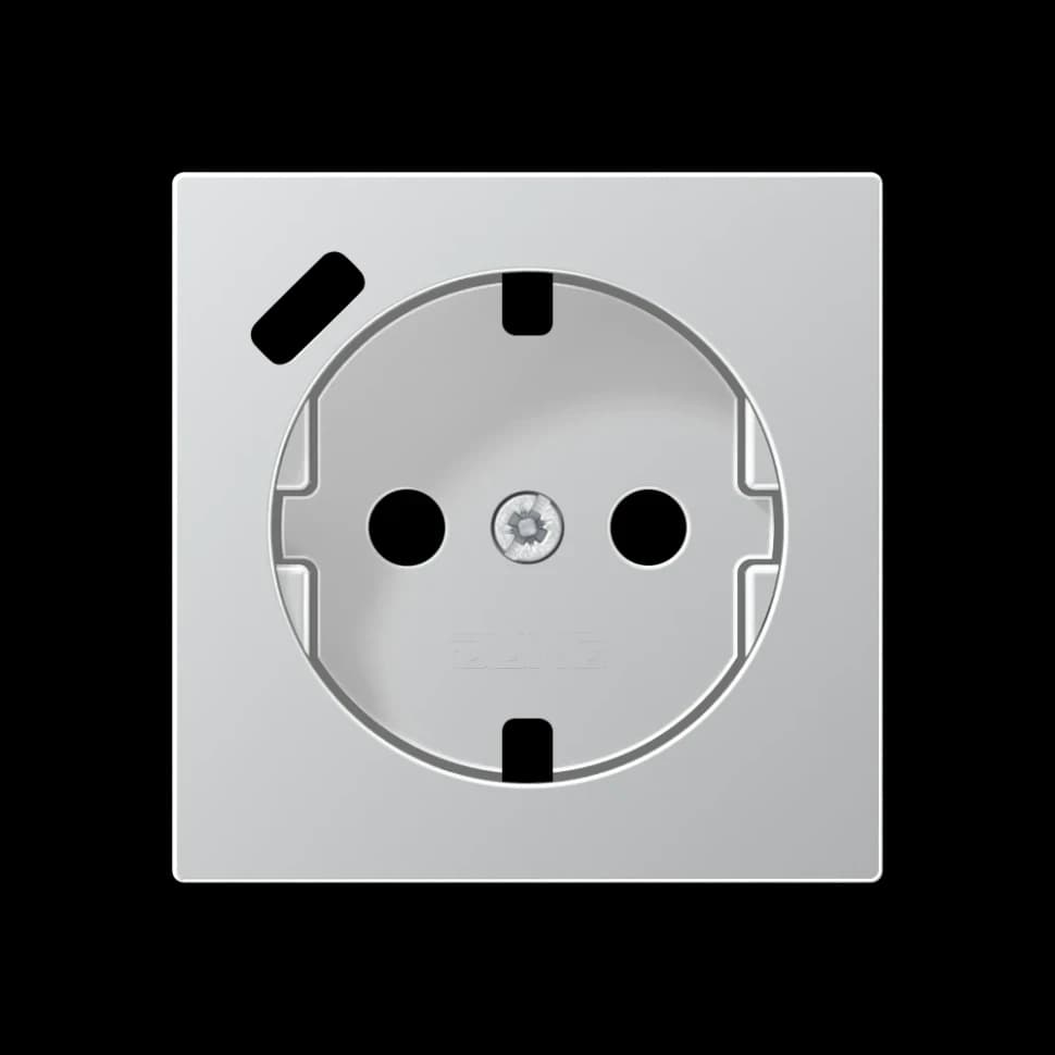 Jung Центральная накладка для SCHUKO USB C, A1520-18CPLAL A1520-18CPLAL