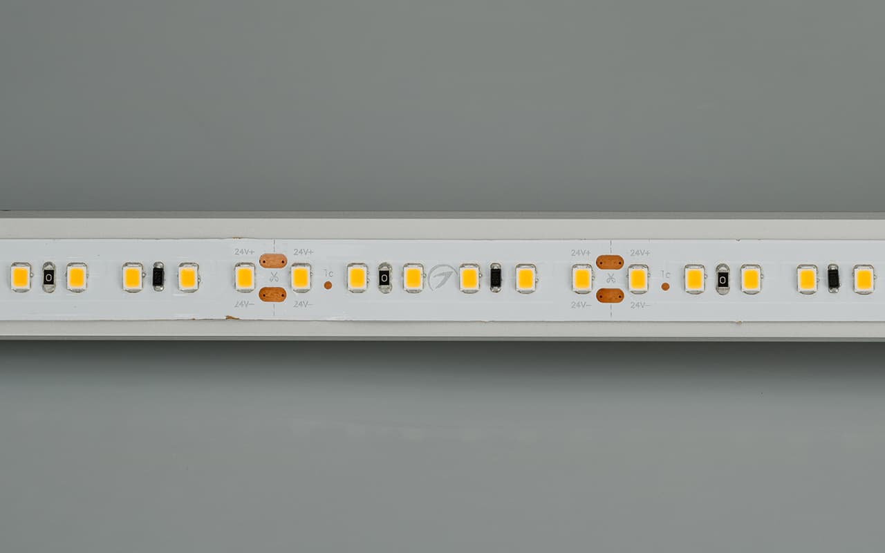 Светодиодная лента IC2-20000 24V Day4000 2x 12mm (2835, 120 LED/m, Long) (Arlight, 9.6 Вт/м, IP20) 024591 — фото 2