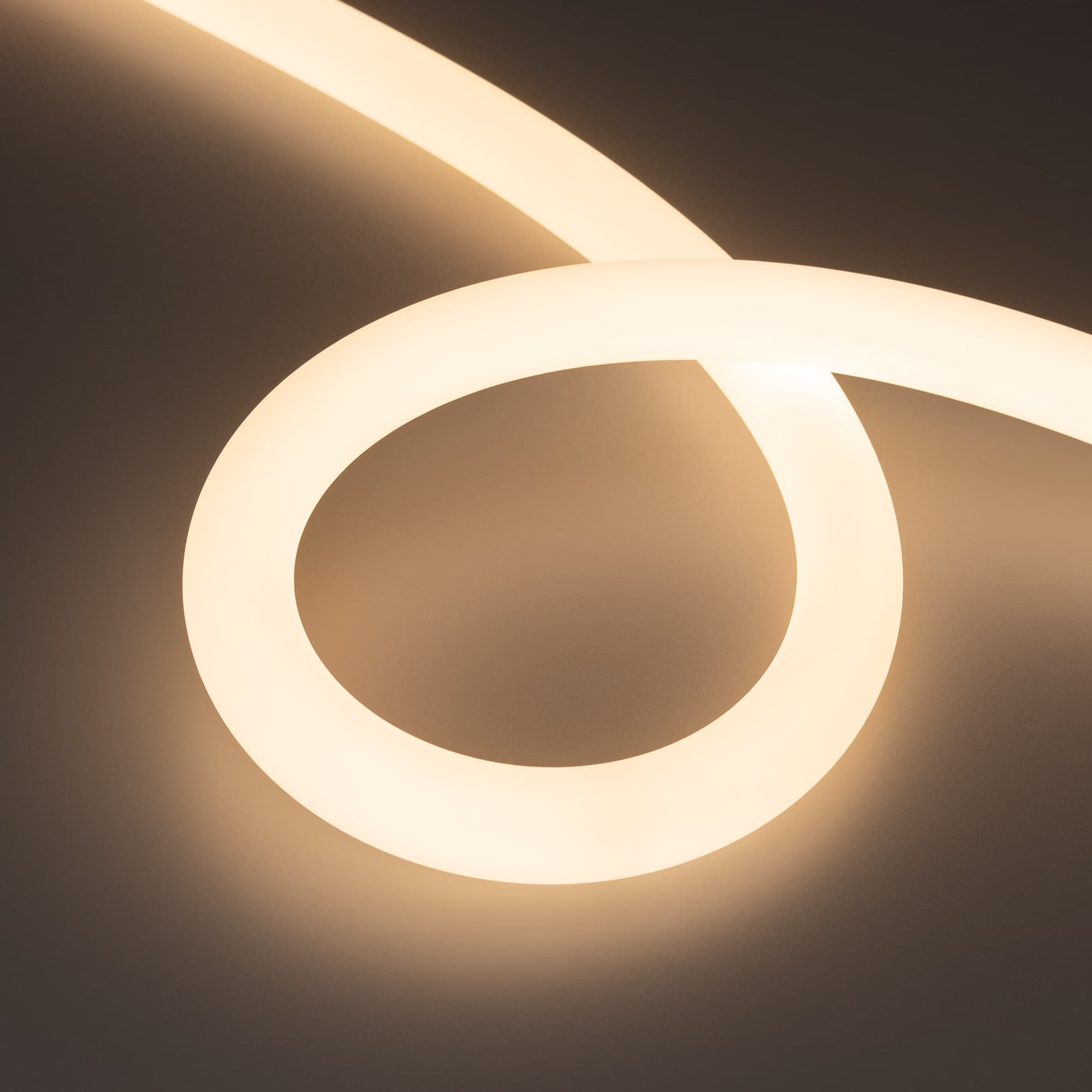 Светодиодная лента герметичная MOONLIGHT-TOP-FP-X1088-D25mm 24V Warm3000 (20 W/m, IP65, 5m, wire x1) (Arlight, Вывод прямой, 3 года) 038862