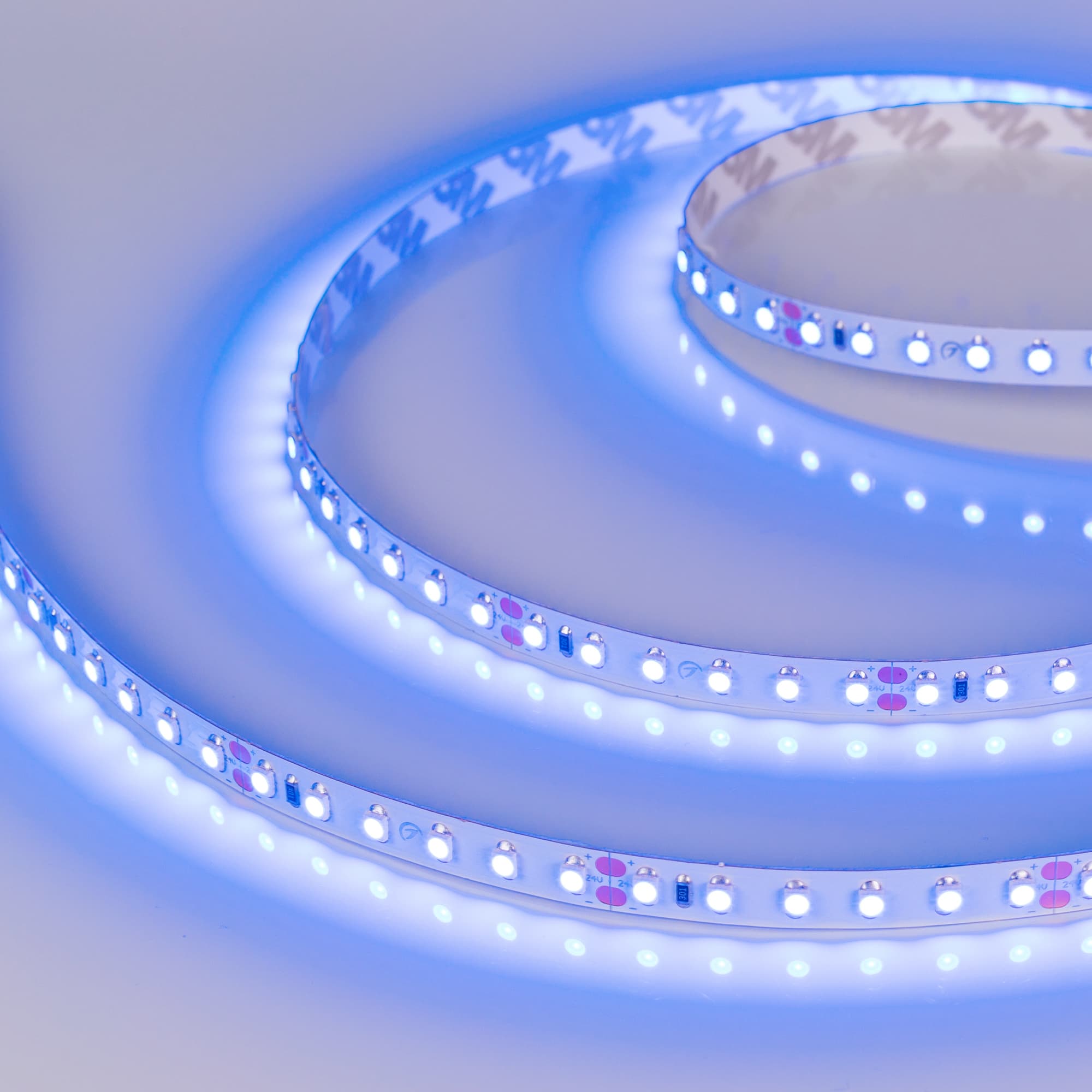 Светодиодная лента RT 2-5000 24V Blue 2x (3528, 600 LED, LUX) (Arlight, 9.6 Вт/м, IP20) 008783(1) — фото 2