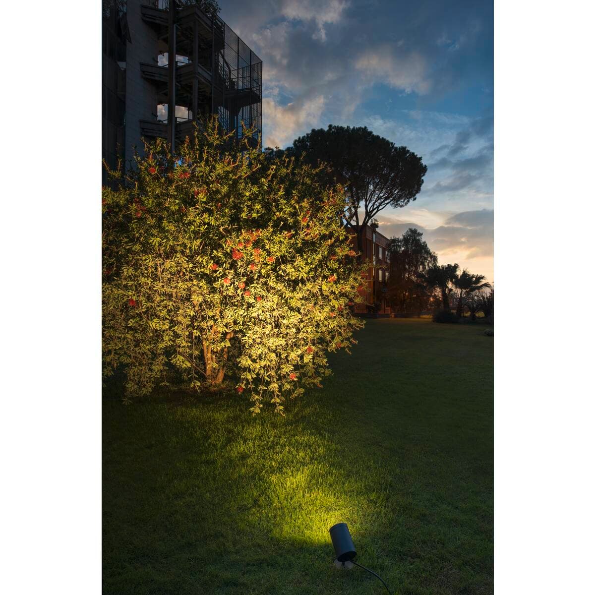 HELIA SLV — фото 6