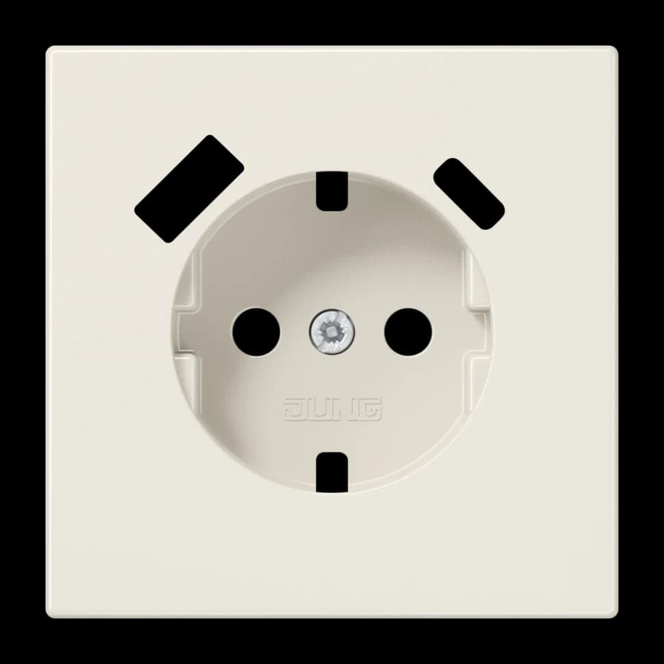 Jung Центральная накладка для SCHUKO USB CA, LS1520-15CAPL LS1520-15CAPL
