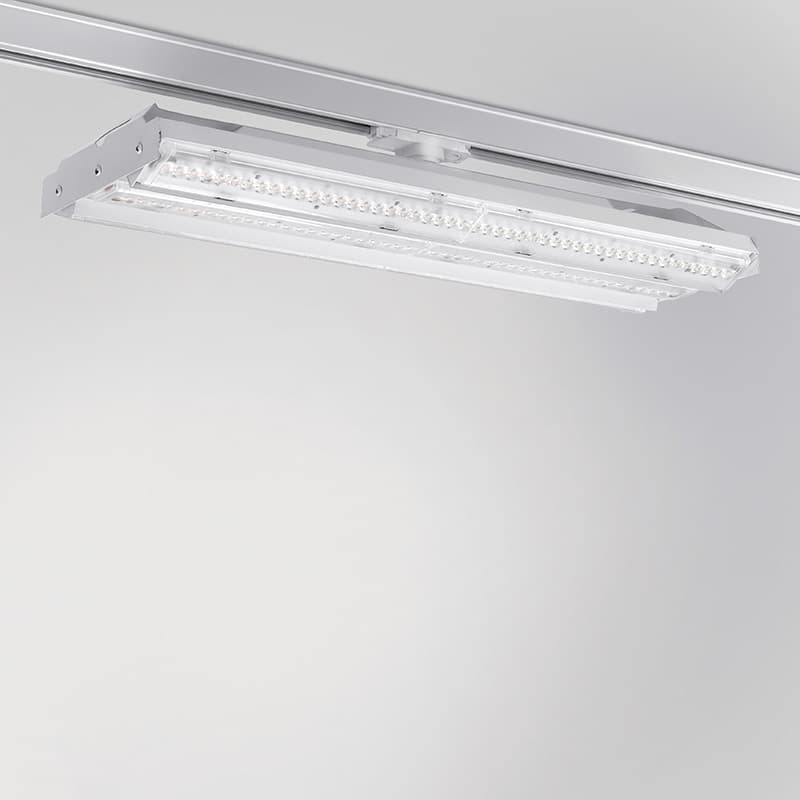 Quattrobi LINE wings Quattrobi