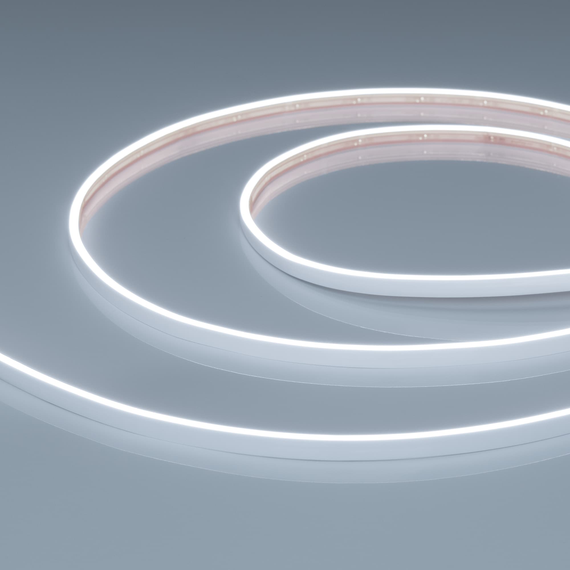 Светодиодная лента герметичная VELA-M240-2.5x6mm 24V White6000 (5 W/m, IP65, 5m) (Arlight, узкая) 053266 — фото 1