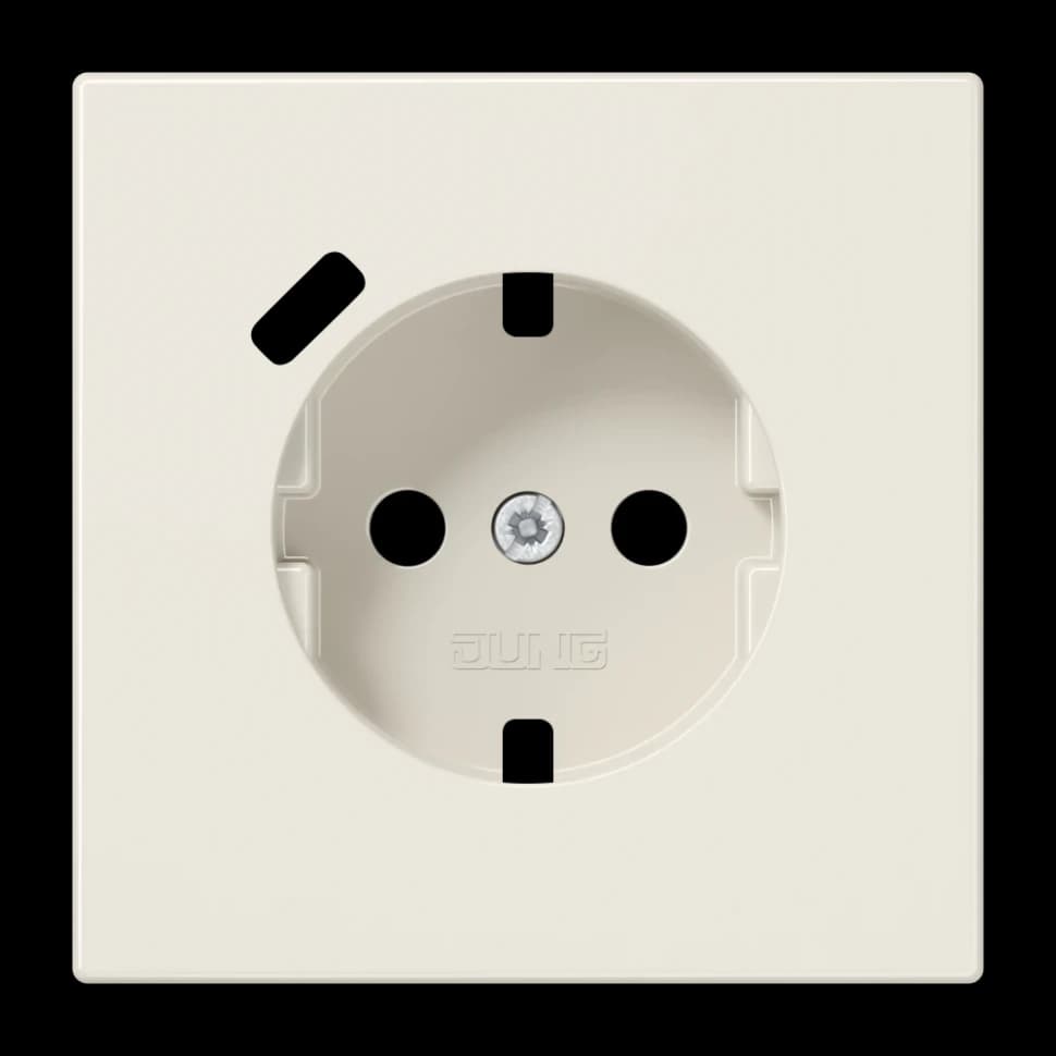 Jung Центральная накладка для SCHUKO USB C, LS1520-18CPL LS1520-18CPL
