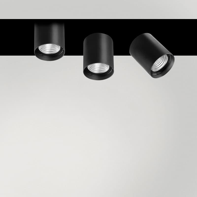 Quattrobi MISSING Quattrobi