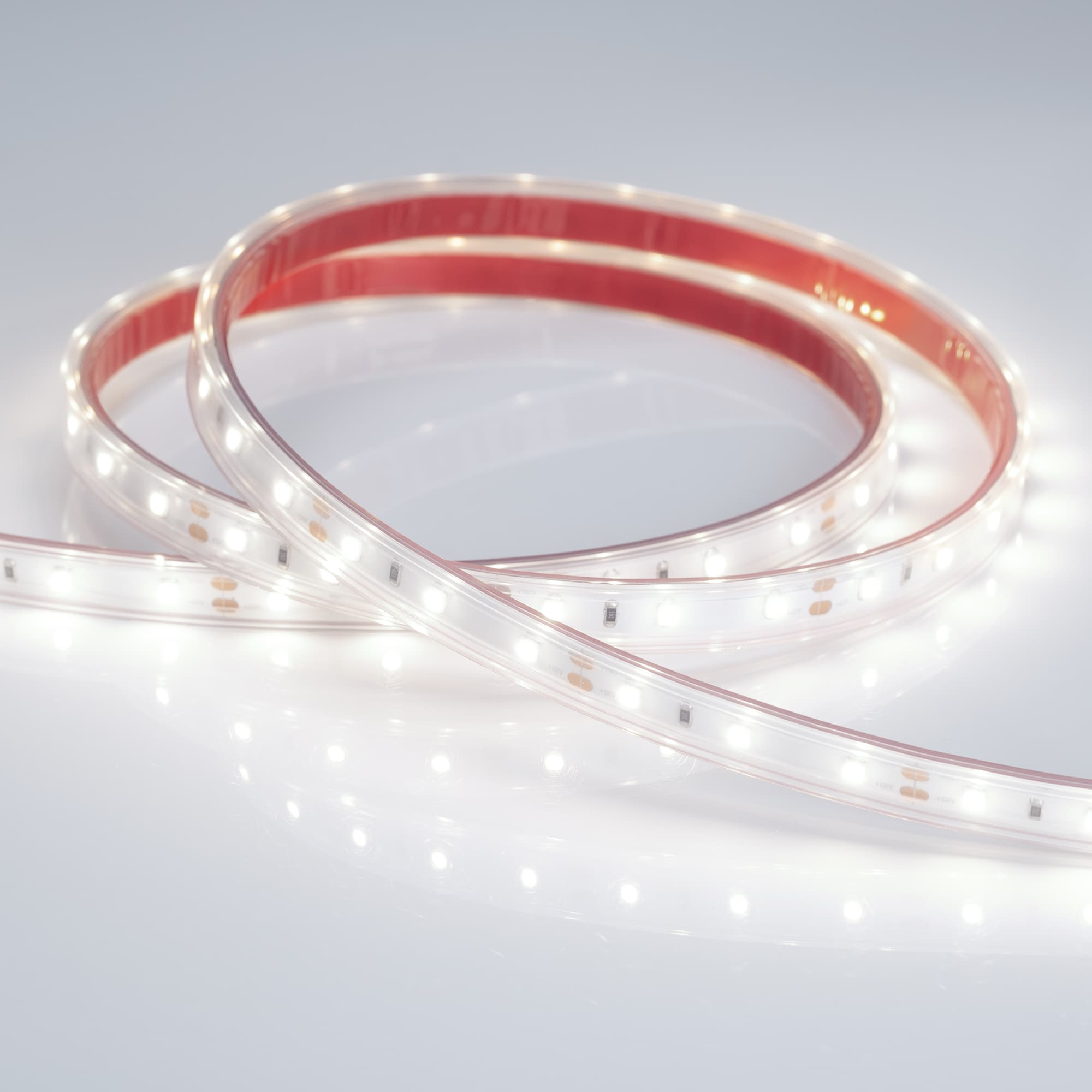 Светодиодная лента RTW 2-5000PS 12V White6000 (3528, 300 LED, LUX) (Arlight, 4.8 Вт/м, IP67) 021099 — фото 2
