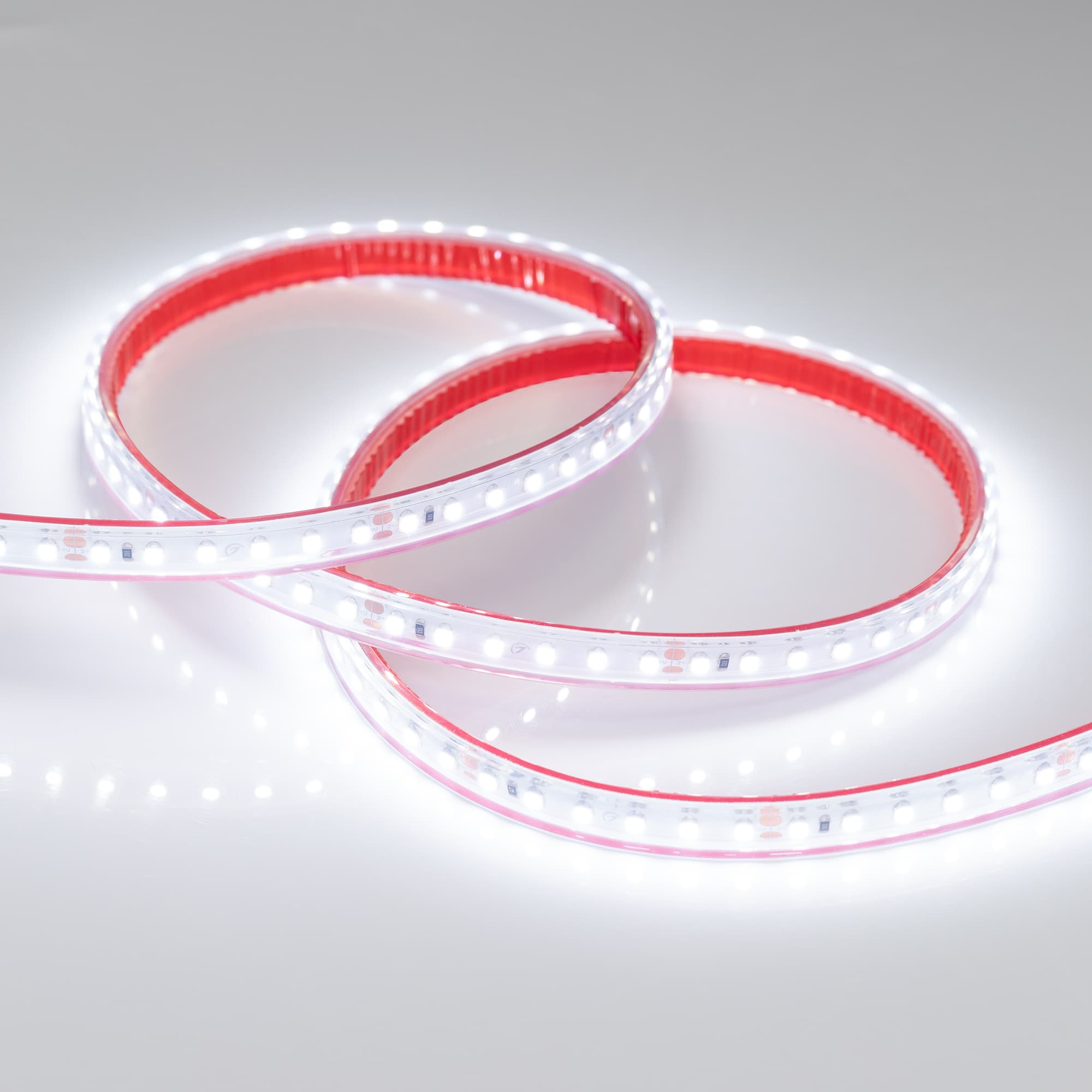 Светодиодная лента RTW 2-5000PS 24V White6000 2x (3528, 600 LED, LUX) (Arlight, 9.6 Вт/м, IP67) 022321 — фото 2