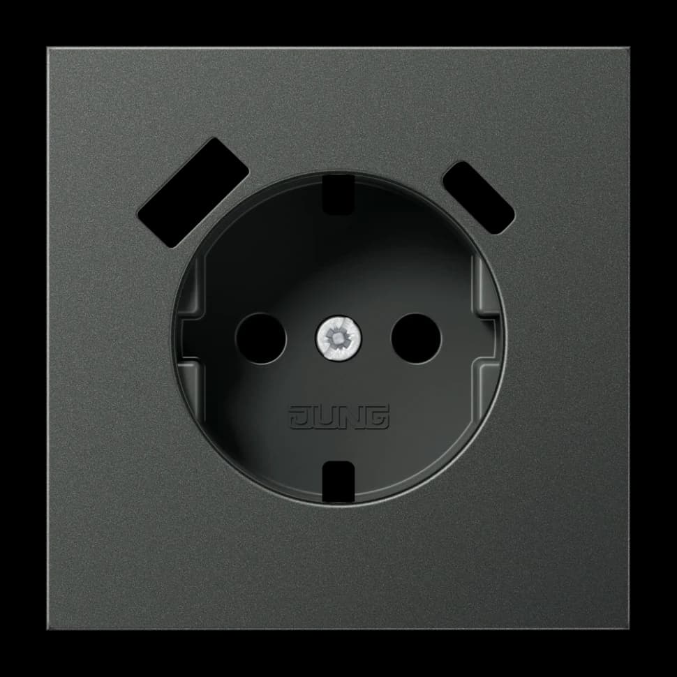 Jung Центральная накладка для SCHUKO USB CA, AL1520-15CAPLAN AL1520-15CAPLAN