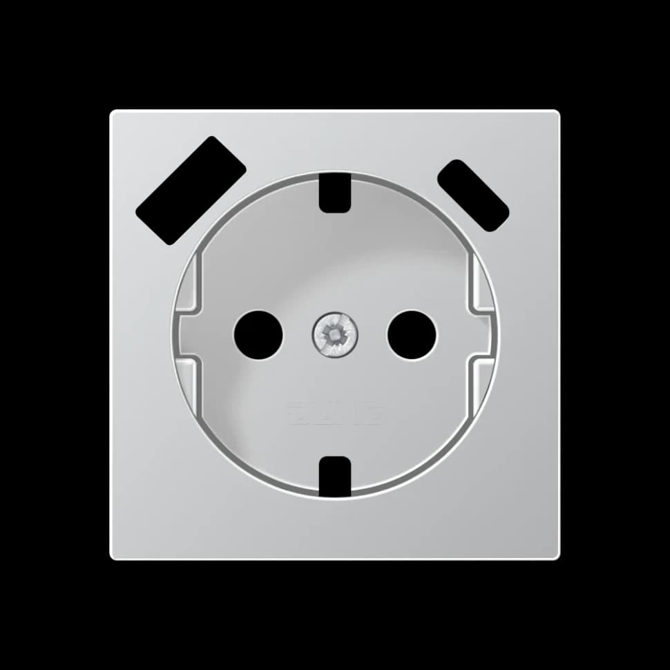 Jung Центральная накладка для SCHUKO USB CA, A1520-15CAPLAL A1520-15CAPLAL