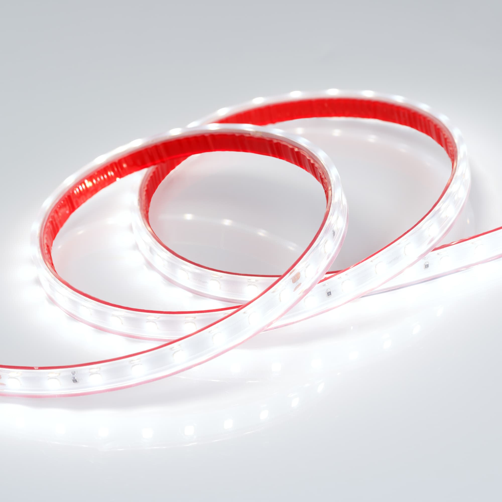Светодиодная лента RTW 2-5000PS-50m 24V White6000 (2835, 80 LED/m, LUX) (Arlight, 6 Вт/м, IP67) 024527 — фото 3