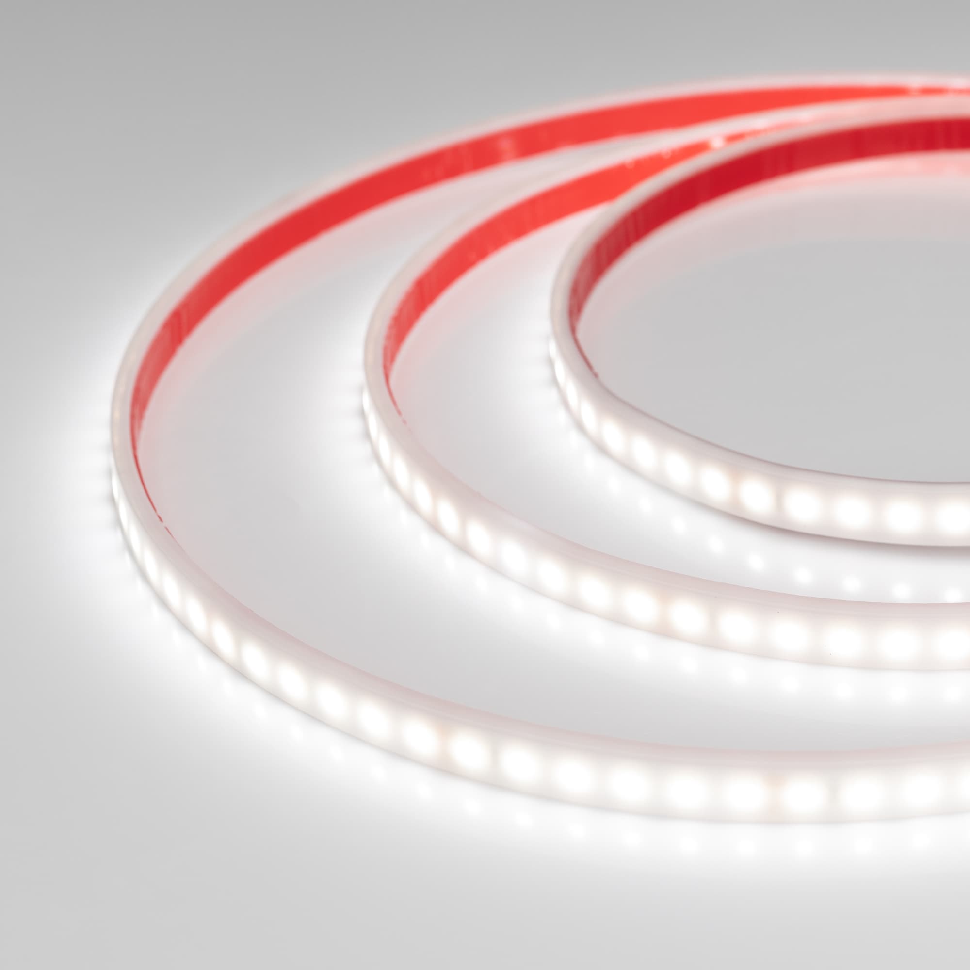 Светодиодная лента RTW 2-5000PW 24V White6000 2x (3528, 600 LED, LUX) (Arlight, 9.6 Вт/м, IP66) 018995 — фото 2
