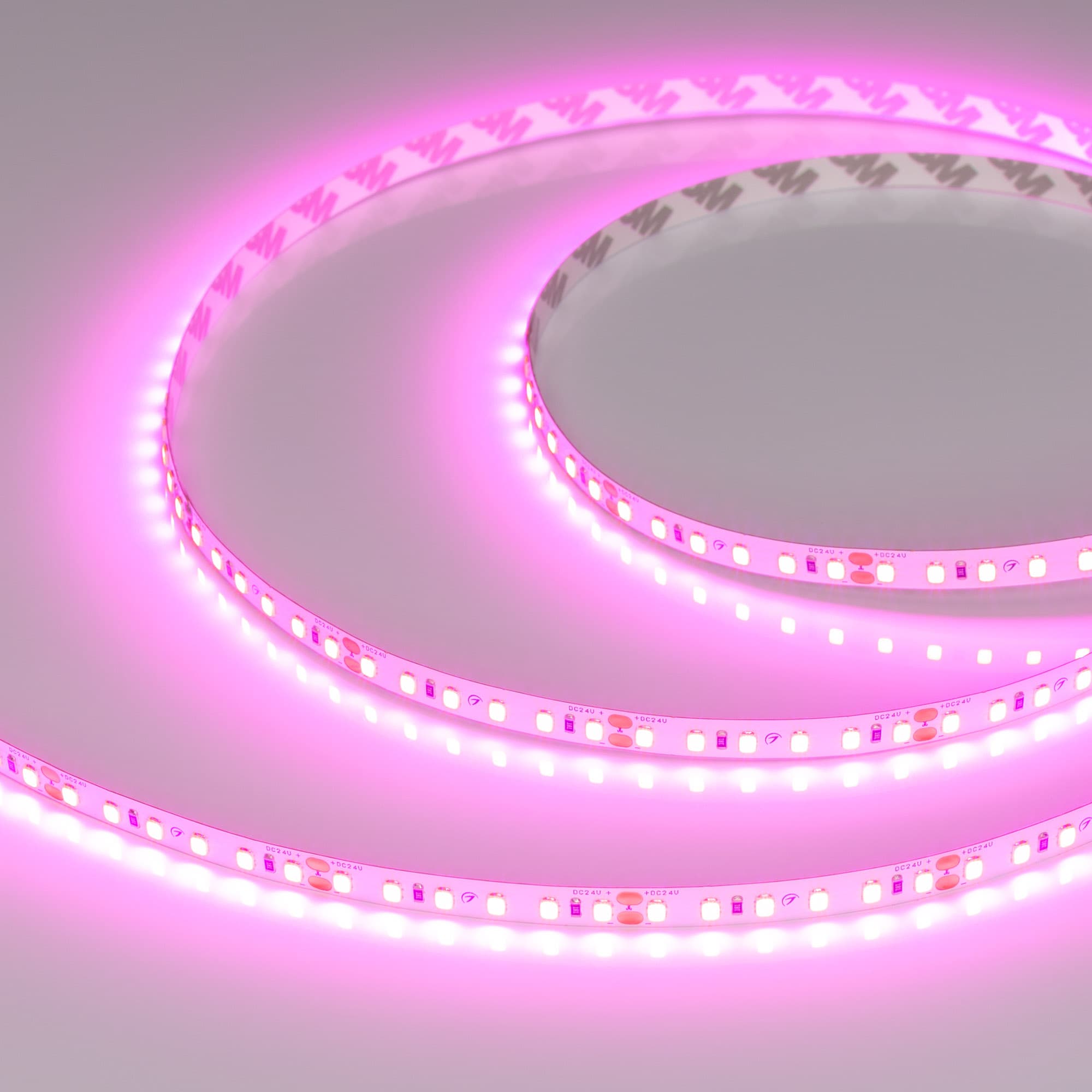 Светодиодная лента RT-A120-8mm 24V Magenta (9.6 W/m, IP20, 2835, 5m) (Arlight, -) 043381 — фото 1
