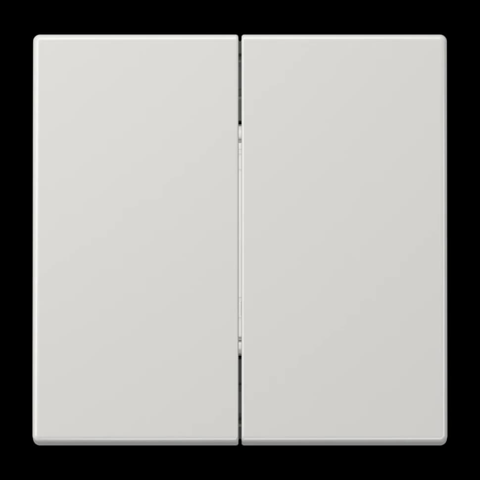 Jung Кнопка, 2 группы, с поддержкой Matter, с источником питания, MATLS995LG MATLS995LG