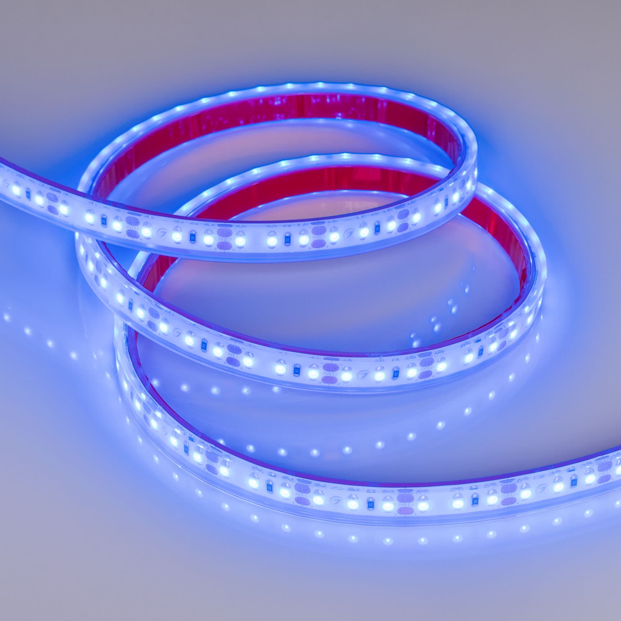 Светодиодная лента RTW 2-5000PGS 12V Blue 2x (3528, 600 LED) (Arlight, 9.6 Вт/м, IP67) 013392 — фото 4