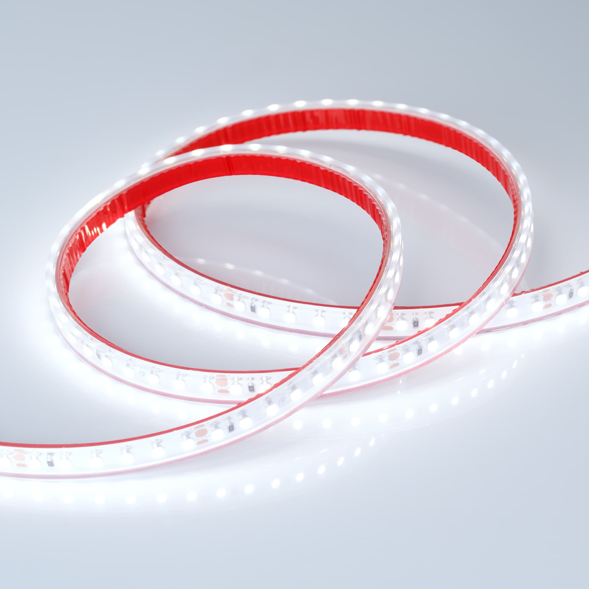 Светодиодная лента RTW 2-5000PS-50m 24V White6000 2x (3528, 120 LED/m, LUX) (Arlight, 9.6 Вт/м, IP67) 024574 — фото 2