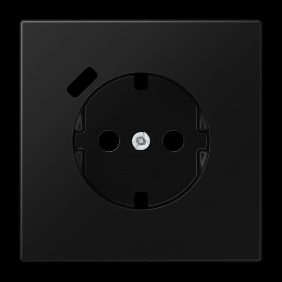Jung Центральная накладка для SCHUKO USB C, LS1520-18CPLSWM LS1520-18CPLSWM