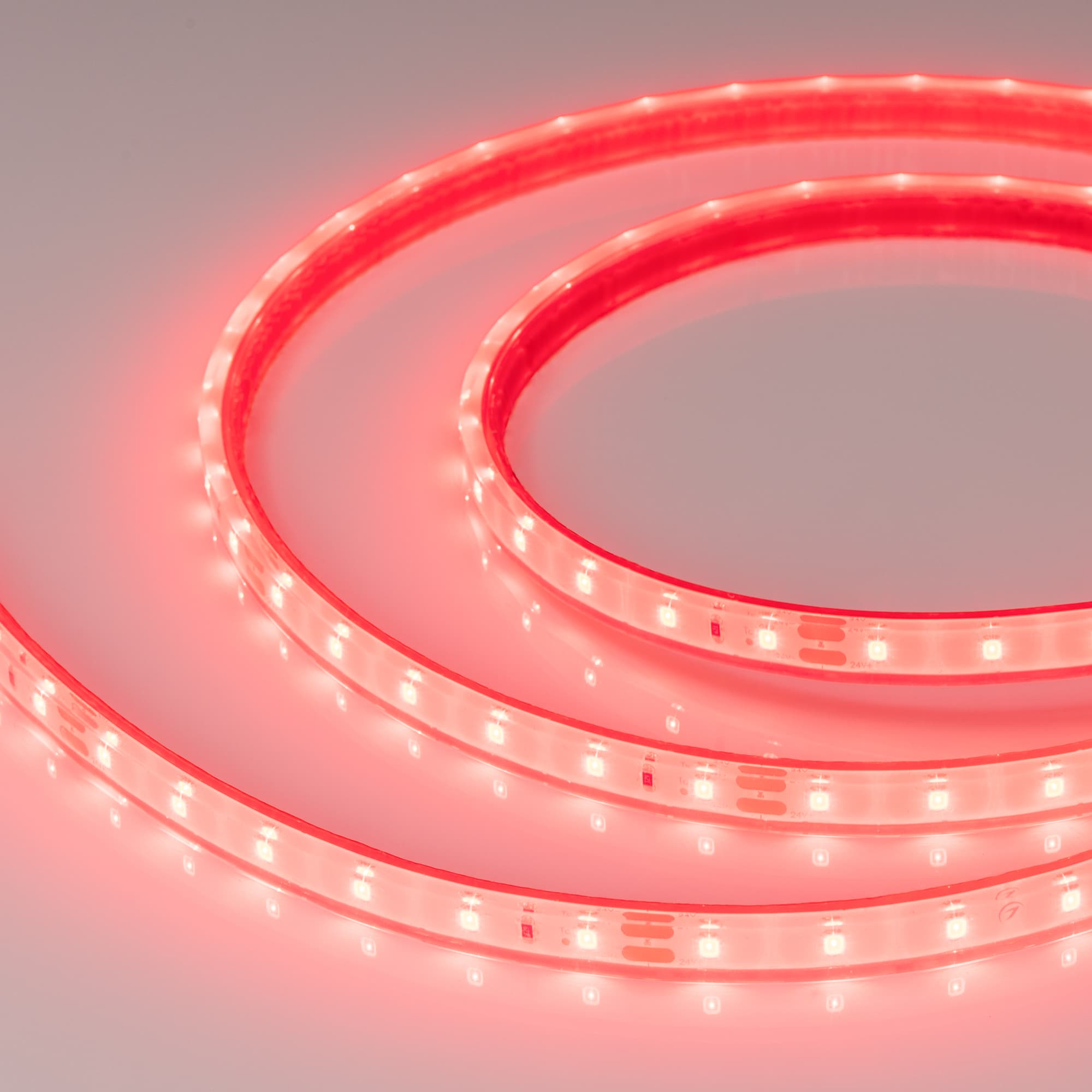 Светодиодная лента герметичная RTW-PFS-A60-11mm 24V Red (4.8 W/m, IP68, 2835, 5m) (Arlight, -) 034182 — фото 1